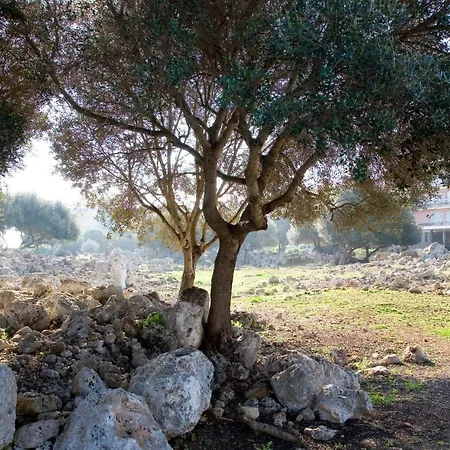 Mariant ס'לוט